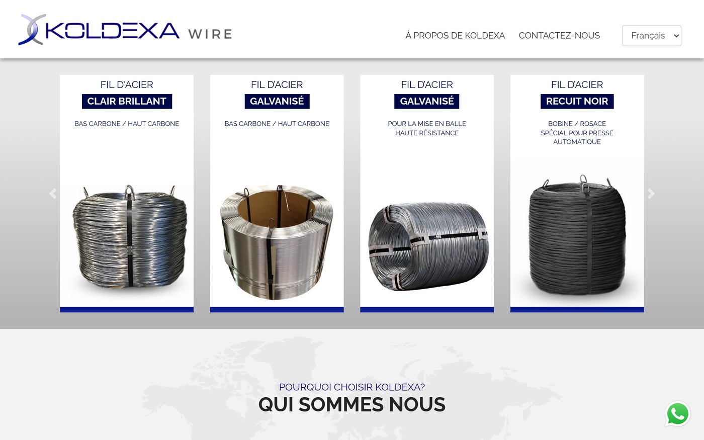 Projecte Koldexa